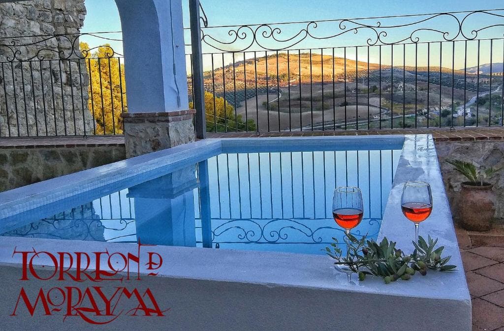 La piscina, asomada a los olivares